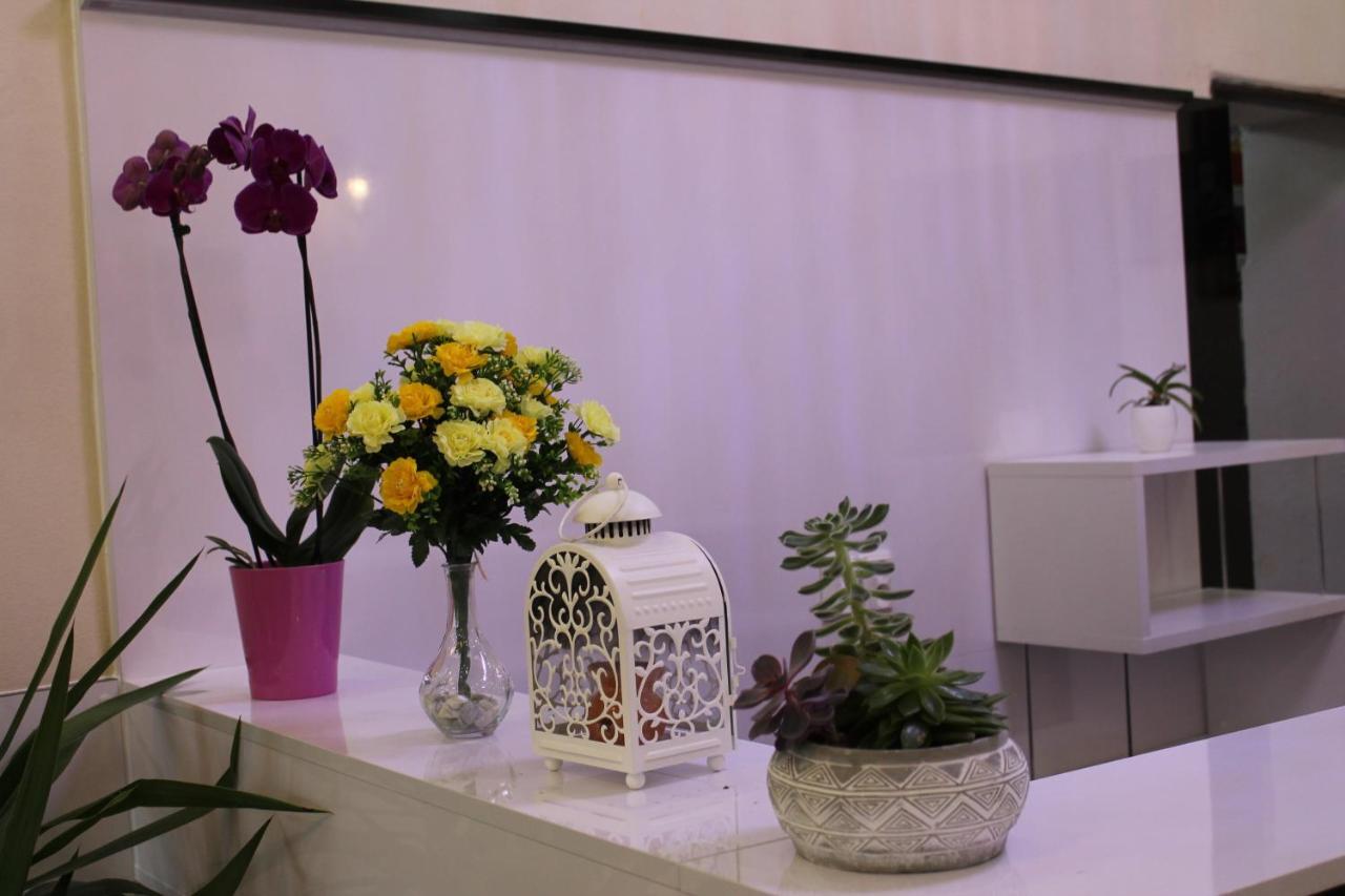 Pension Tv Plana  ภายนอก รูปภาพ